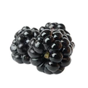 Blackberry PNG-26563